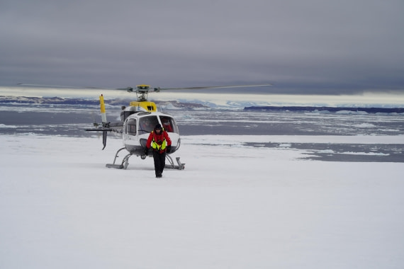 Antarctica, WeddellSea, OTL23-23, A7300309 © Angela Beckwith - Oceanwide Expeditions.JPG
