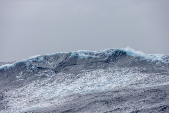HDS31-25, Day 2, 088A9203 © Martin Anstee - Oceanwide Expeditions.jpg