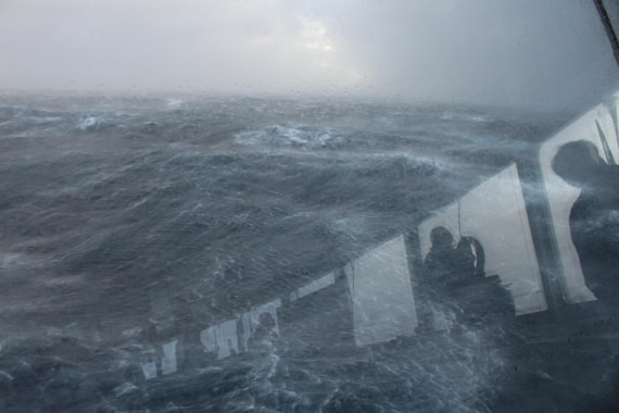 HDS31-25, Day 2, IMG_2690 © Eduardo Rubio - Oceanwide Expeditions.JPG