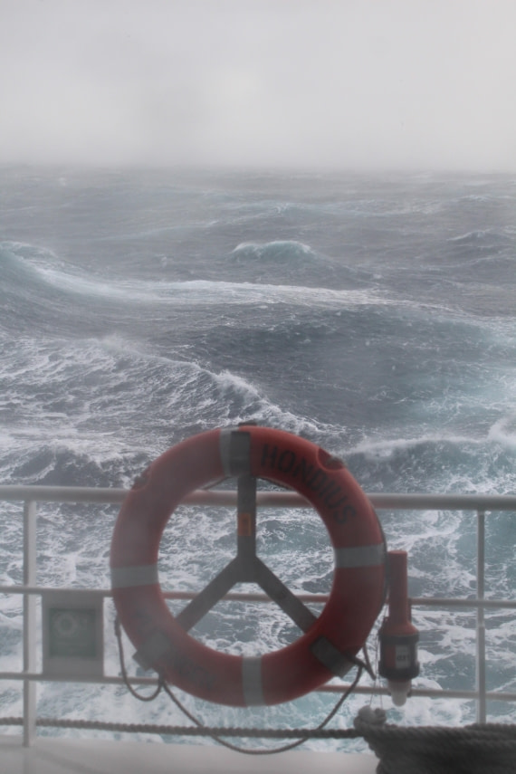 HDS31-25, Day 2, IMG_2705 © Eduardo Rubio - Oceanwide Expeditions.JPG