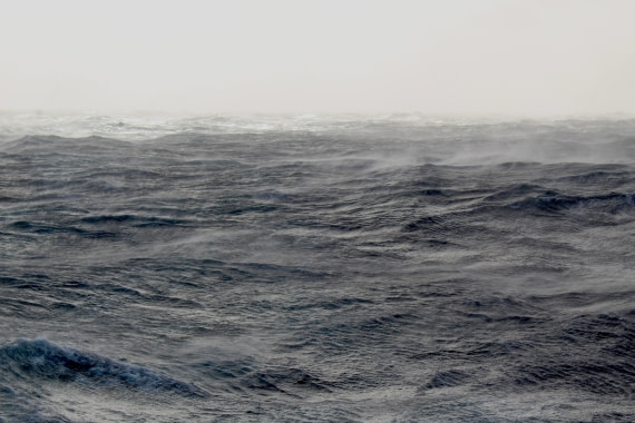 HDS31-25, Day 2, IMG_2712 © Eduardo Rubio - Oceanwide Expeditions.JPG