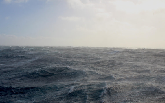 HDS31-25, Day 2, IMG_2713 © Eduardo Rubio - Oceanwide Expeditions.JPG