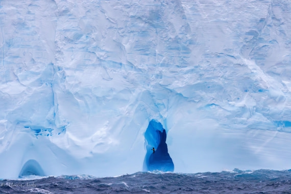 HDS31-25, Day 5, 088A9746-Enhanced-NR © Martin Anstee - Oceanwide Expeditions.jpg