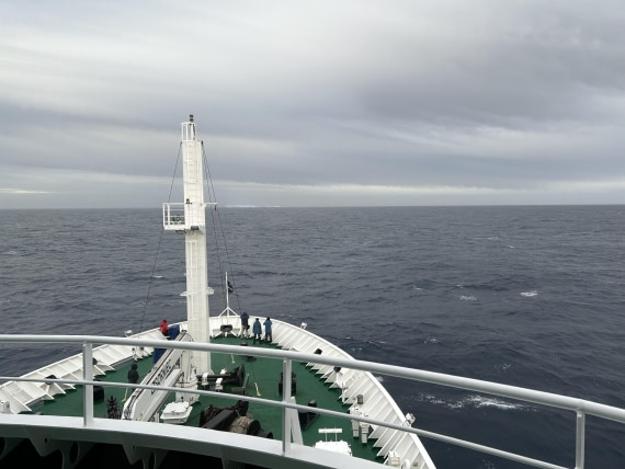 HDS31-25, Day 5, IMG_5432 © Unknown photographer - Oceanwide Expeditions.jpeg