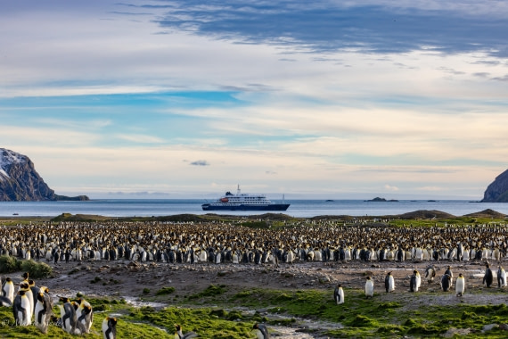 HDS31-25, Day 6, 088A9762 © Martin Anstee - Oceanwide Expeditions.jpg