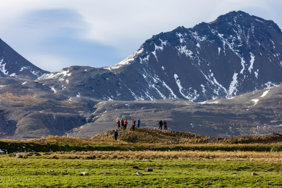 HDS31-25, Day 6, 088A9859 © Martin Anstee - Oceanwide Expeditions.jpg