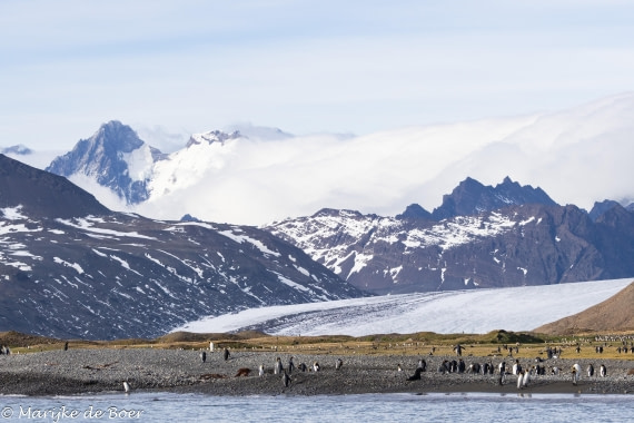HDS31-25, Day 6, 20250328-398A5694 © Marijke de Boer - Oceanwide Expeditions.jpg
