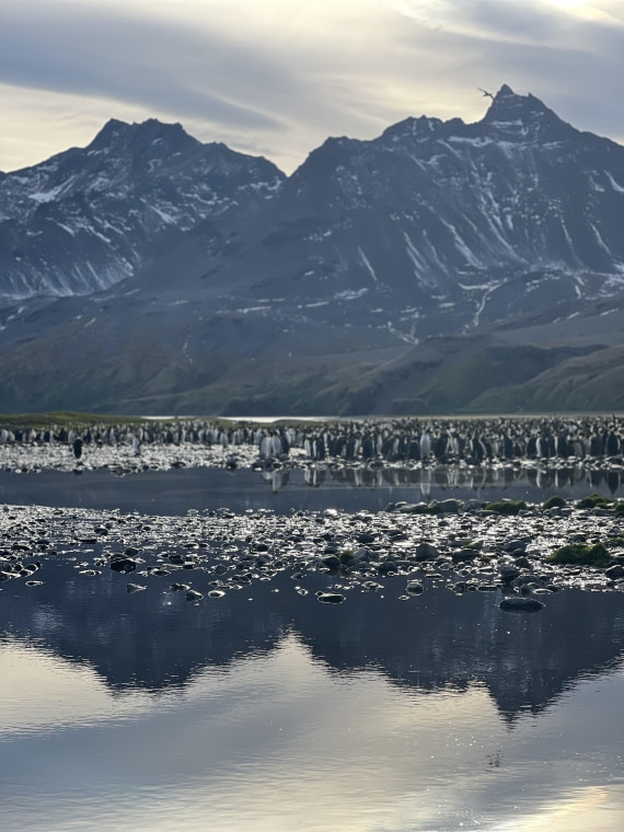HDS31-25, Day 6, IMG_7083 © Elizabeth Robinson - Oceanwide Expeditions.jpeg