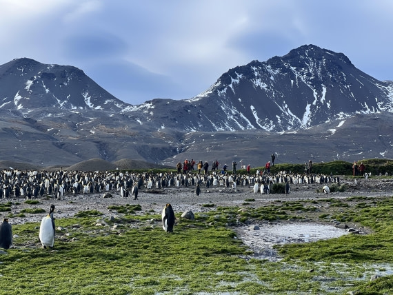 HDS31-25, Day 6, IMG_7086 © Elizabeth Robinson - Oceanwide Expeditions.jpeg