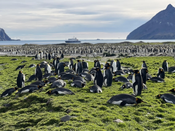HDS31-25, Day 6, IMG_7108 © Elizabeth Robinson - Oceanwide Expeditions.jpeg