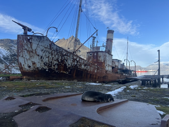 HDS31-25, Day 6, IMG_7131 © Elizabeth Robinson - Oceanwide Expeditions.jpeg