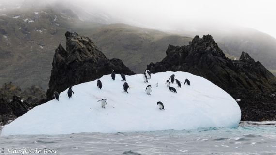 HDS31-25, Day 7, 20250329-398A5943 © Marijke de Boer - Oceanwide Expeditions.jpg