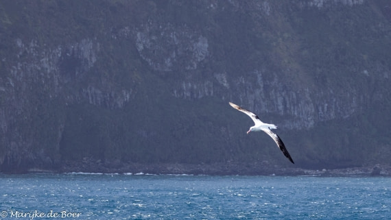 HDS31-25, Day 12, 20250403-398A6652 © Marijke de Boer - Oceanwide Expeditions.jpg