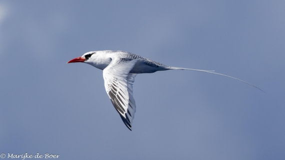 HDS31-25, Day 18, 20250409-398A7388 © Marijke de Boer - Oceanwide Expeditions.jpg