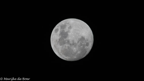 HDS31-25, Day 20, 20250411-398A7823 © Meike Sjoer - Oceanwide Expeditions.jpg