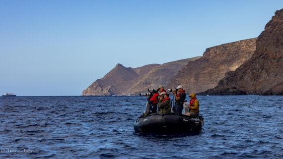 HDS31-25, Day 23, 088A0118 © Martin Anstee - Oceanwide Expeditions.jpg