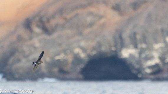 HDS31-25, Day 23, 20250414-398A8336 © Marijke de Boer - Oceanwide Expeditions.jpg