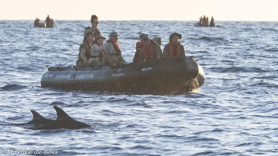 HDS31-25, Day 23, 20250414-398A8441 © Marijke de Boer - Oceanwide Expeditions.jpg