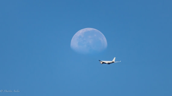 HDS32-25, Day 4, 088A0616-Enhanced-NR © Martin Anstee - Oceanwide Expeditions.jpg