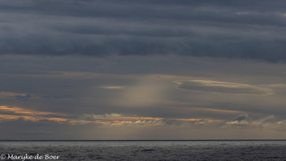 HDS32-25, Day 5, 20250419-398A9982 © Marijke de Boer - Oceanwide Expeditions.jpg