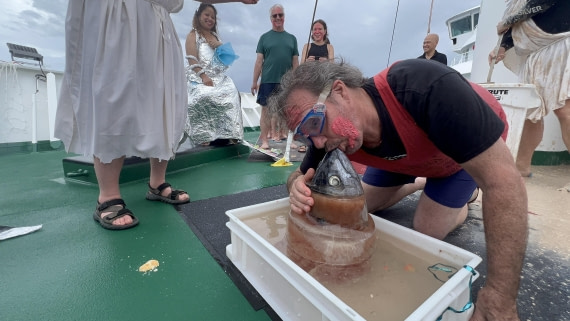 HDS32-25, Day 6, IMG_6326 © Unknown photographer - Oceanwide Expeditions.jpg