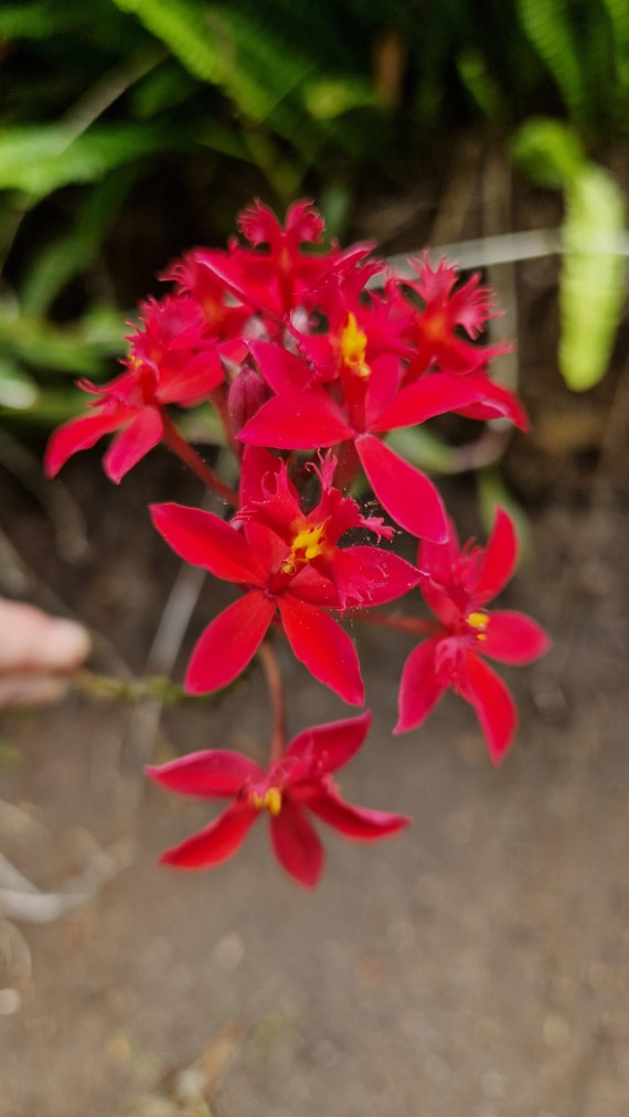 HDS32-25, Day 1, 20250415-NJV-020-39 © Nicole Janinhoff-Verdaat - Oceanwide Expeditions.jpg