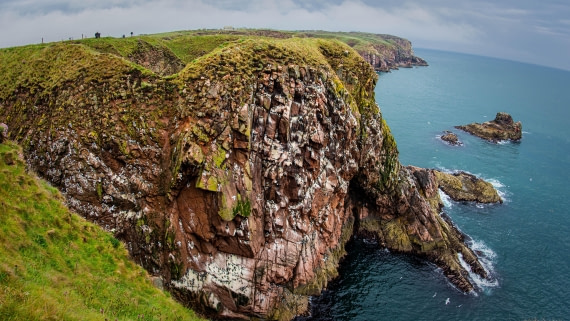 HDS01-25, Day 3, PAZ_9469 © Alexander Romanovskiy - Oceanwide Expeditions.jpg