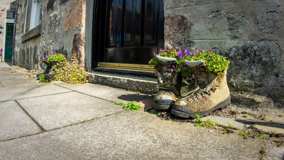 HDS01-25, Day 3, PAZ_9478 © Alexander Romanovskiy - Oceanwide Expeditions.jpg