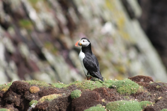 HDS01-25, Day 4, IMG_6961 © Unknown photographer - Oceanwide Expeditions.JPG
