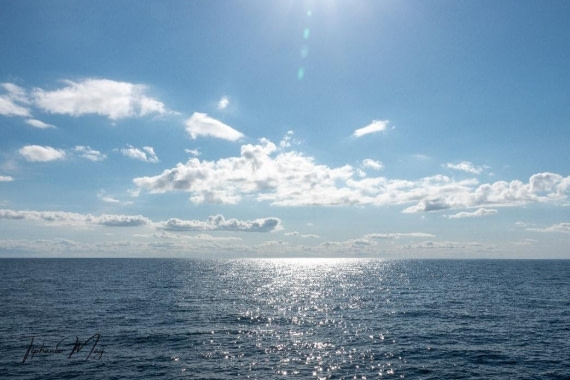 HDS01-25, Day 5, At sea © Unknown photographer - Oceanwide Expeditions.jpg