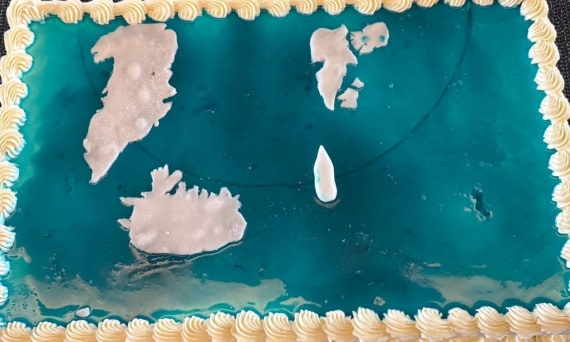 HDS01-25, Day 6, Cake © Unknown photographer - Oceanwide Expeditions.jpg