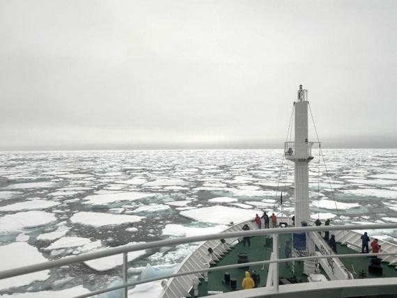 HDS01-25, Day 8, Sea ice © Unknown photographer - Oceanwide Expeditions.jpg