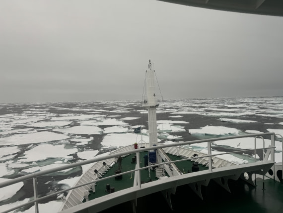 HDS01-25, Day 9, IMG_8769 2 © Unknown photographer - Oceanwide Expeditions.jpg