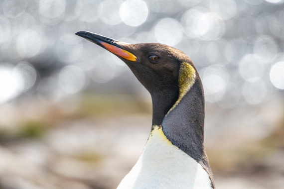 Looking Lovely at Leith Harbour