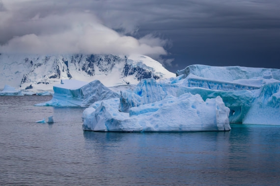 So beautiful at Cuverville Island