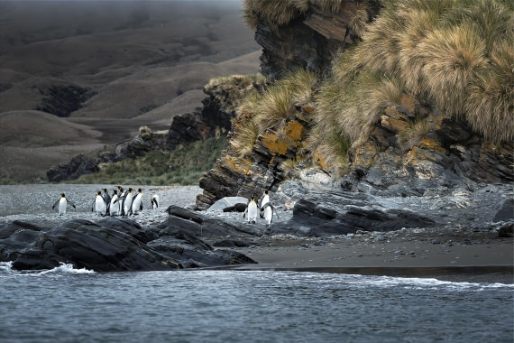 Heaven on Earth at Fortuna Bay