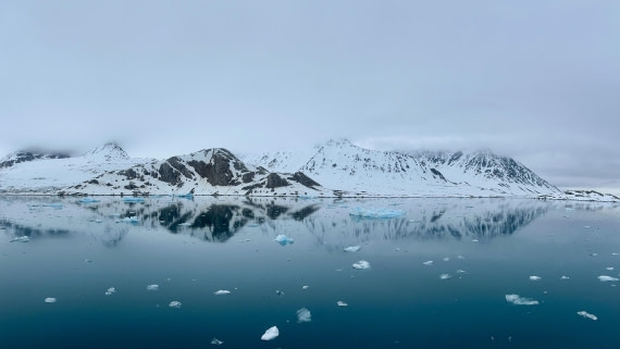 PLA03-25, Day 2, IMG_3278 © Unknown photographer - Oceanwide Expeditions.jpeg