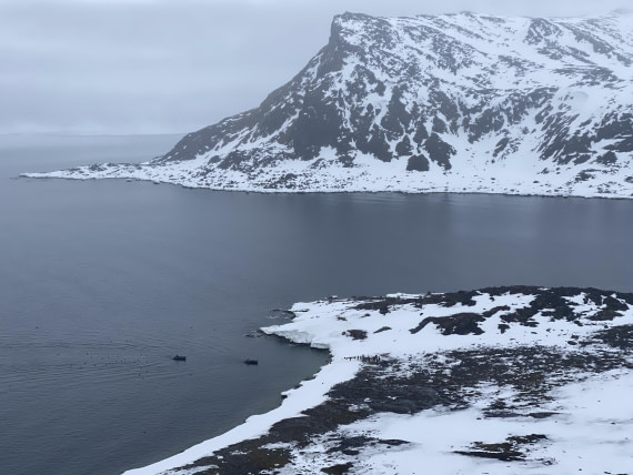 PLA03-25, Day 2, IMG_4667 2 © Unknown photographer - Oceanwide Expeditions.JPG