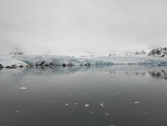 PLA03-25, Day 2, IMG_20250611_105604 © Michelle van Dijk - Oceanwide Expeditions.jpg