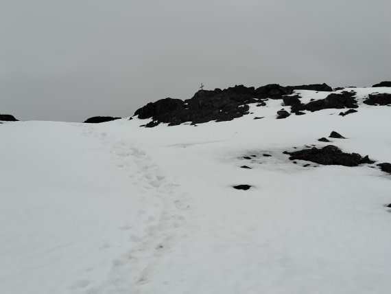 PLA03-25, Day 2, IMG_20250611_170310 © Michelle van Dijk - Oceanwide Expeditions.jpg