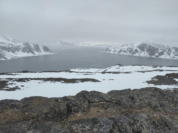PLA03-25, Day 2, IMG_20250611_171316 © Michelle van Dijk - Oceanwide Expeditions.jpg