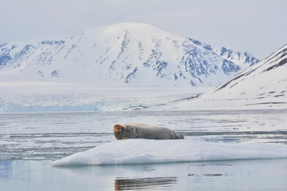 PLA03-25, Day 3, _DSC0861-2 © Unknown photographer - Oceanwide Expeditions.jpg