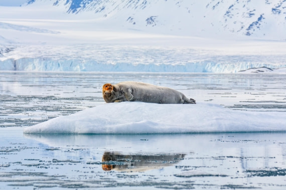 PLA03-25, Day 3, _DSC0863-2 © Unknown photographer - Oceanwide Expeditions.jpg