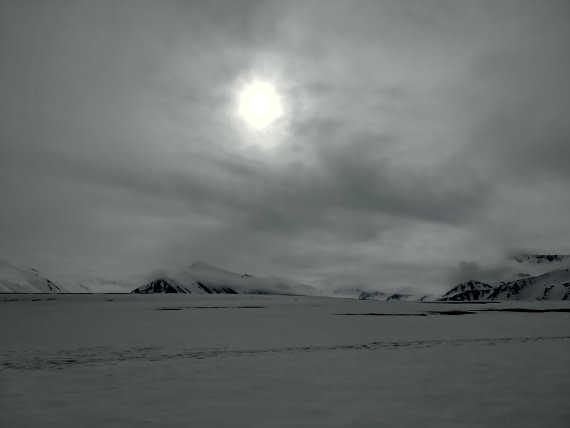 PLA03-25, Day 3, IMG_20250612_100934 © Michelle van Dijk - Oceanwide Expeditions.jpg