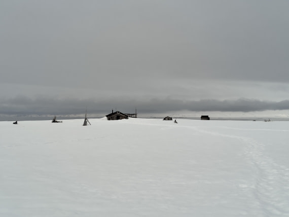 PLA03-25, Day 3, IMG_20250612_101635 © Michelle van Dijk - Oceanwide Expeditions.jpg