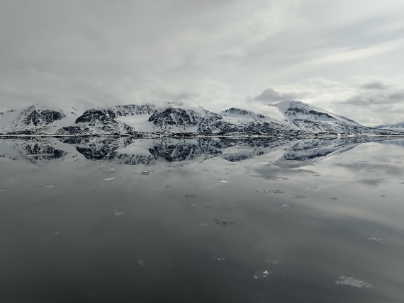 PLA03-25, Day 3, IMG_20250612_141302 © Michelle van Dijk - Oceanwide Expeditions.jpg