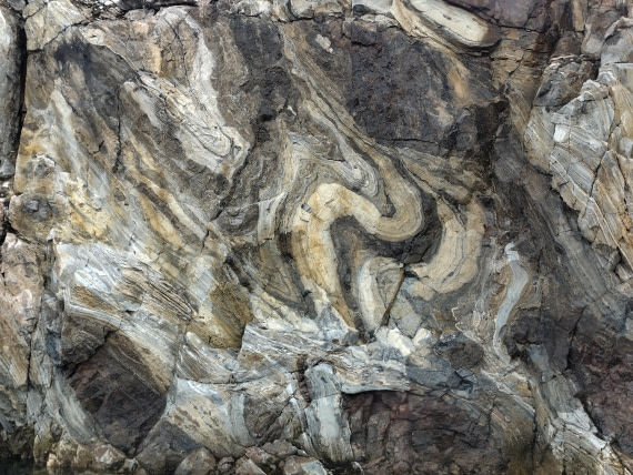 PLA03-25, Day 3, IMG_20250612_154128 © Michelle van Dijk - Oceanwide Expeditions.jpg