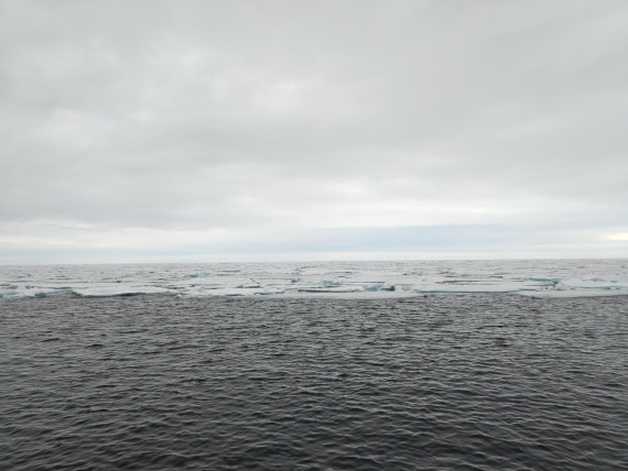 PLA03-25, Day 4, IMG_20250613_233456 © Michelle van Dijk - Oceanwide Expeditions.jpg