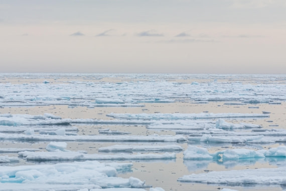 PLA03-25, Day 5, _DSC0868 © Unknown photographer - Oceanwide Expeditions.jpg
