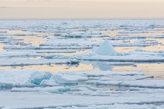 PLA03-25, Day 5, _DSC0869 © Unknown photographer - Oceanwide Expeditions.jpg